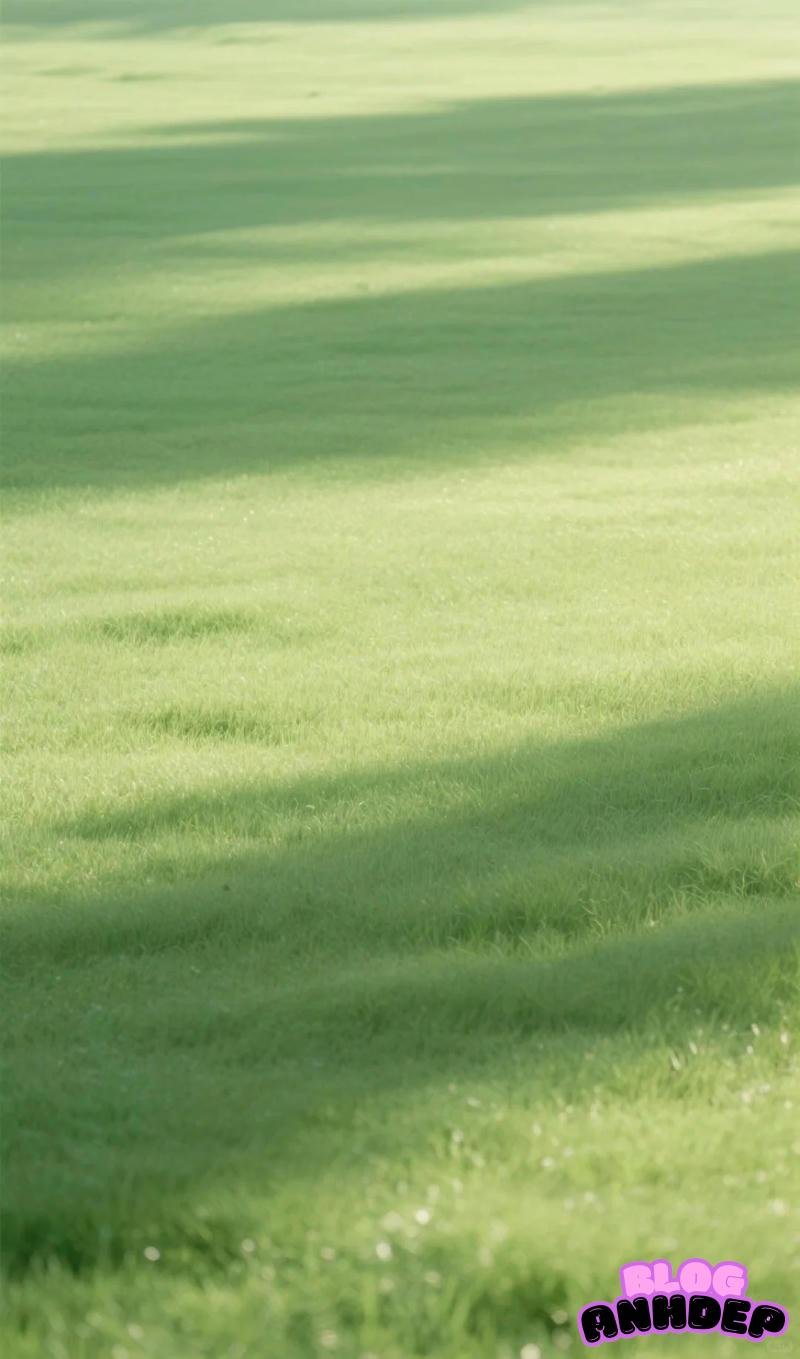 Khám phá kho hình nền cỏ mới nhất