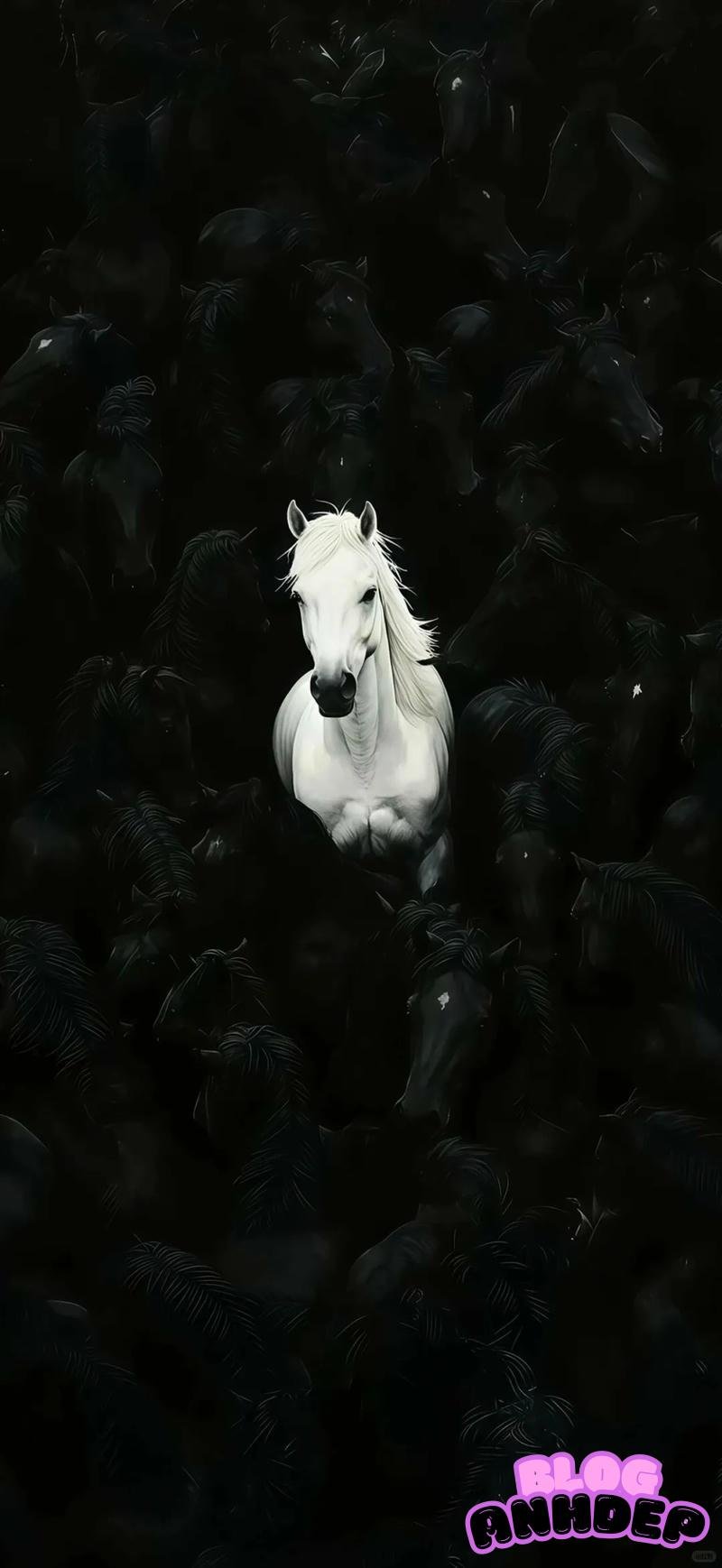 Khám phá kho hình nền đen trắng mới nhất