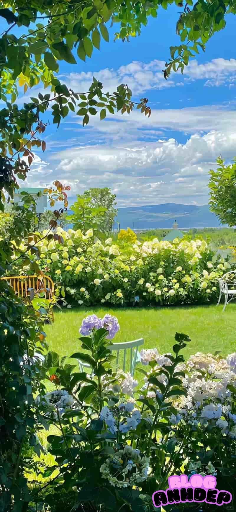 Kho hình nền cảnh đẹp thiên nhiên miễn phí