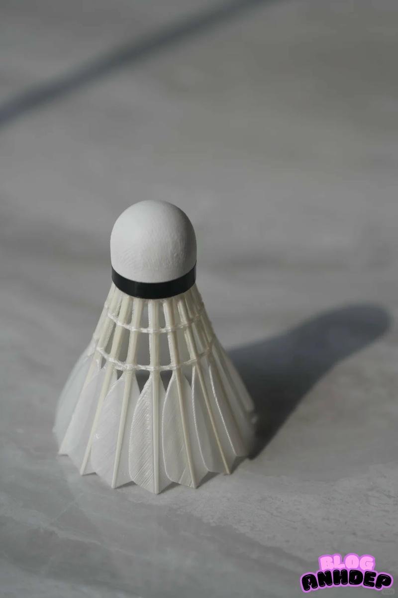 Kho hình nền cầu lông miễn phí