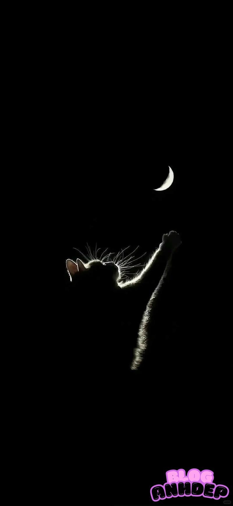 Kho lưu trữ hình nền buồn độc nhất