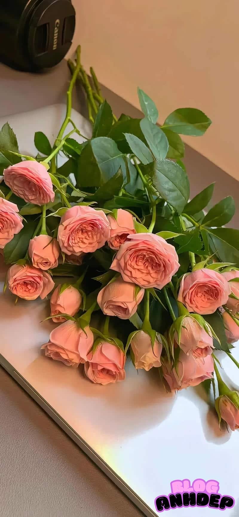 Kho sưu tầm hình nền bông hoa