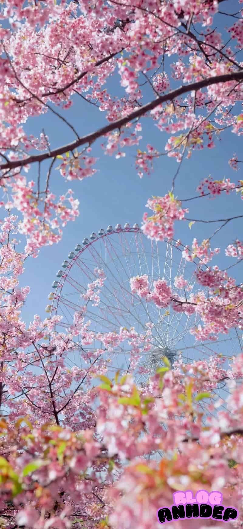 Loạt ảnh hình nền 3d đẹp tuyệt