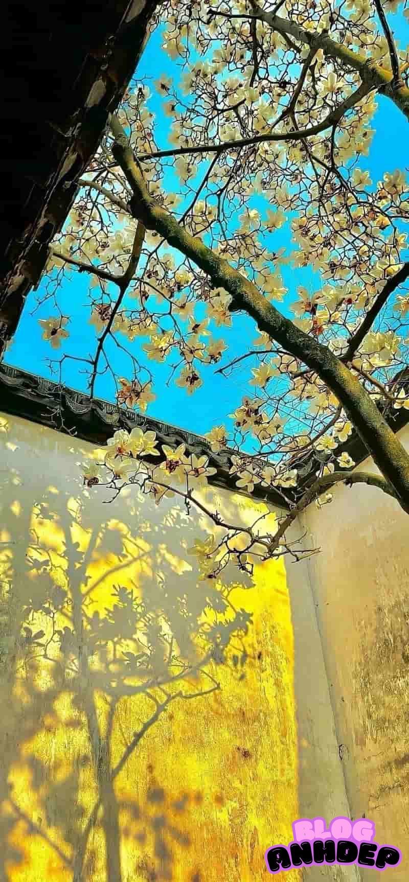 Loạt ảnh hình nền 4d độc đáo