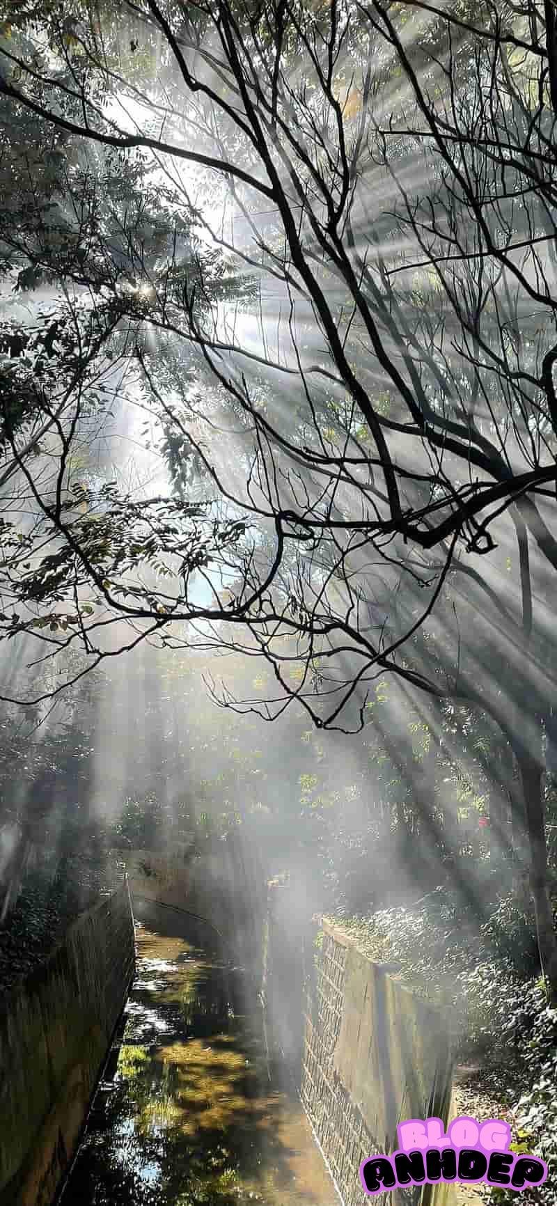 Loạt ảnh hình nền 5d hiệu ứng sâu