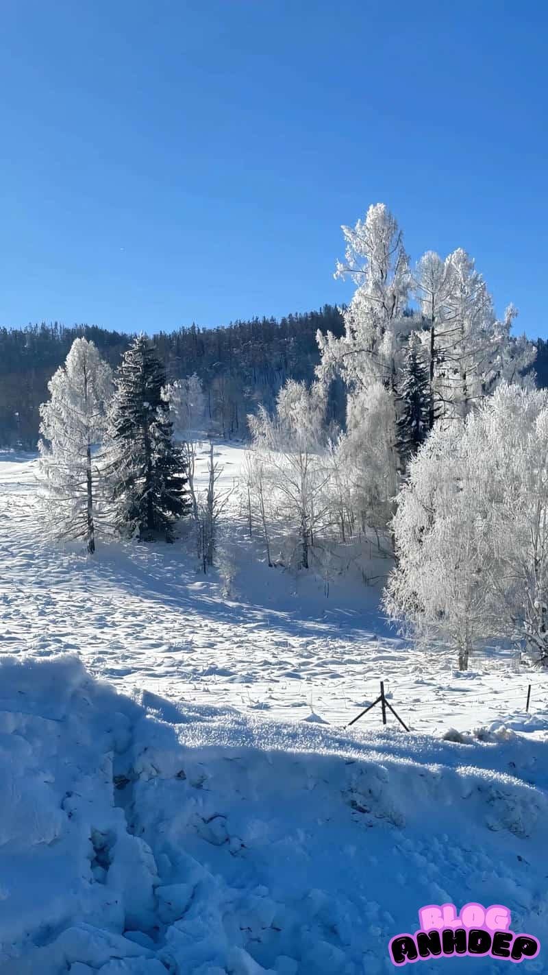 Loạt ảnh hình nền 8k mới nhất