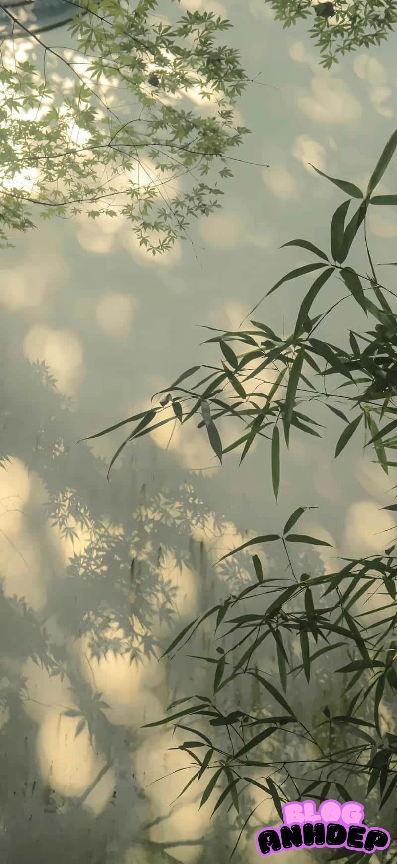 Loạt ảnh hình nền bình yên thư thái