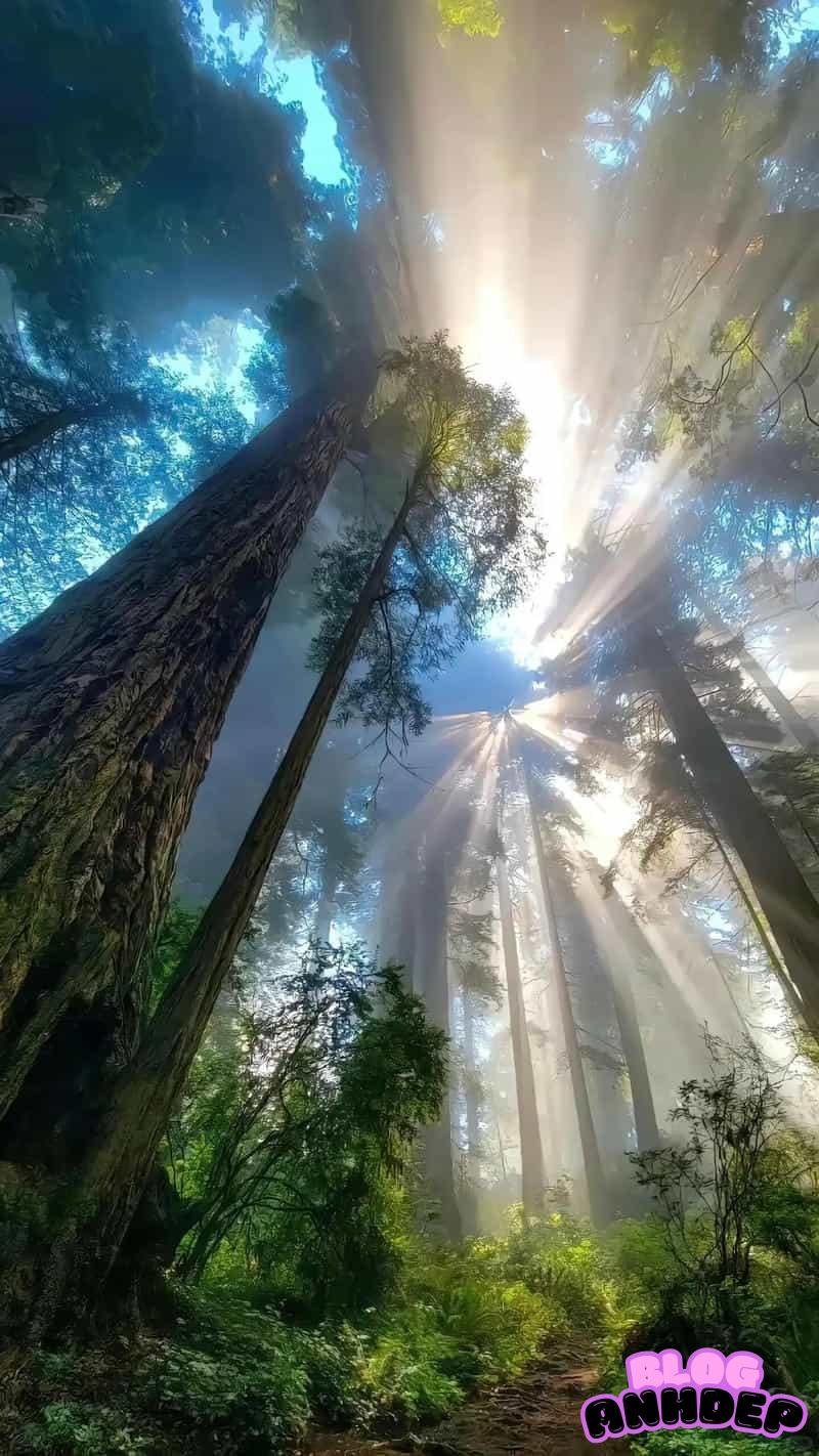 Loạt hình nền android chọn lọc