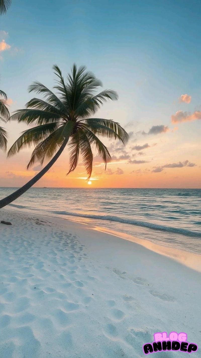 Loạt hình nền apple chất lượng