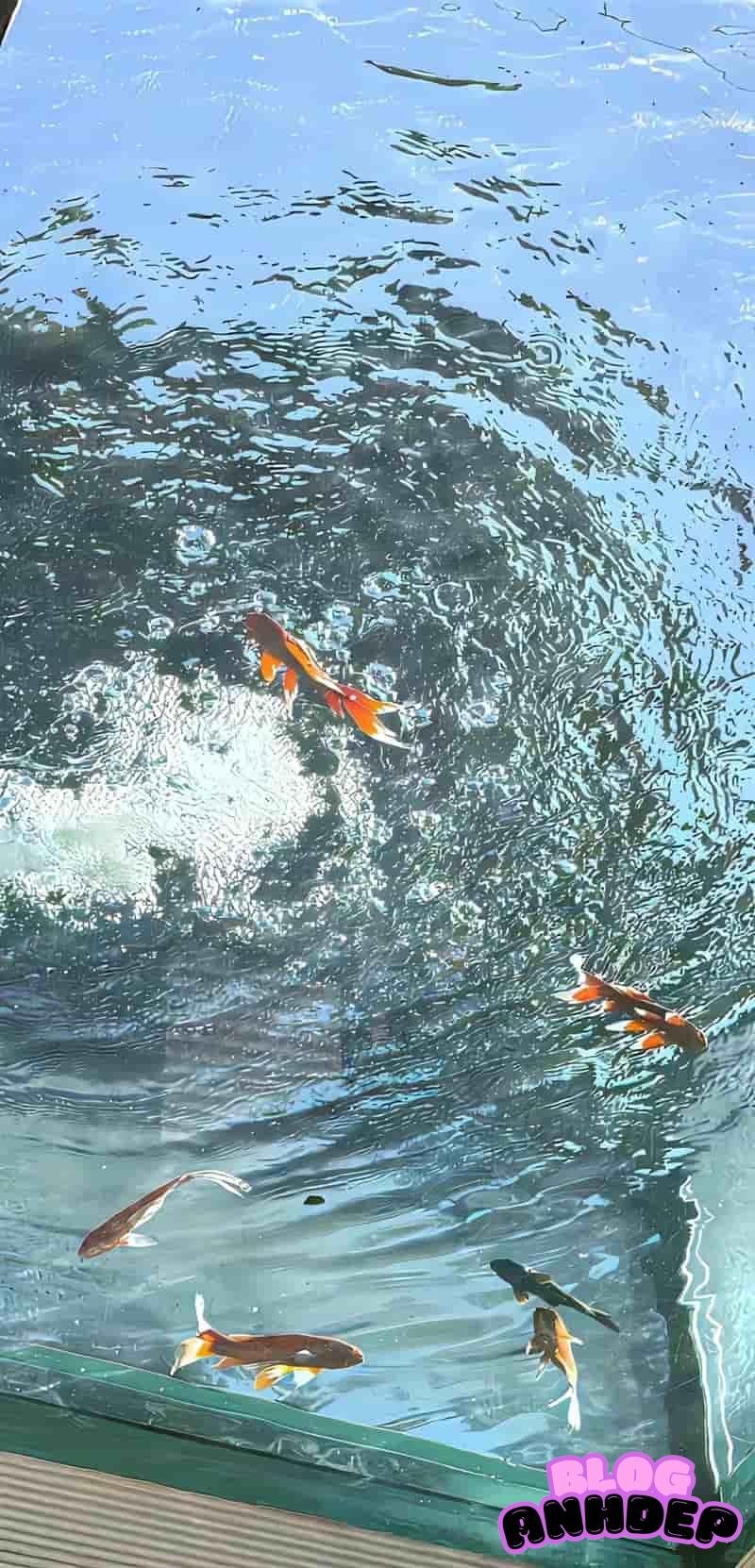 Loạt hình nền background cuốn hút