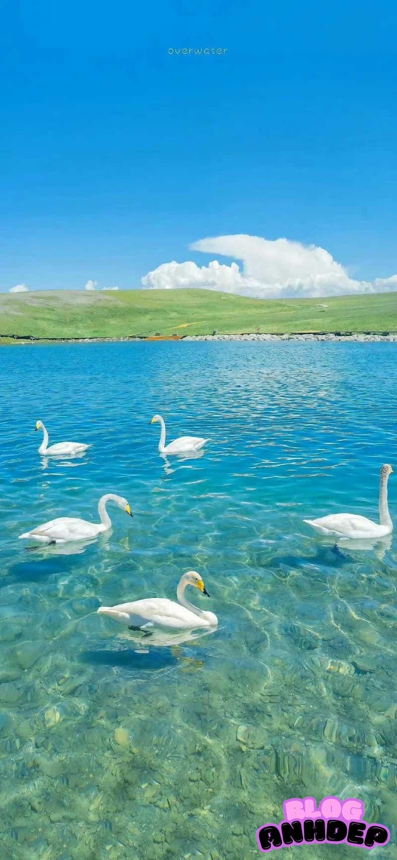 Loạt hình nền background sáng tạo