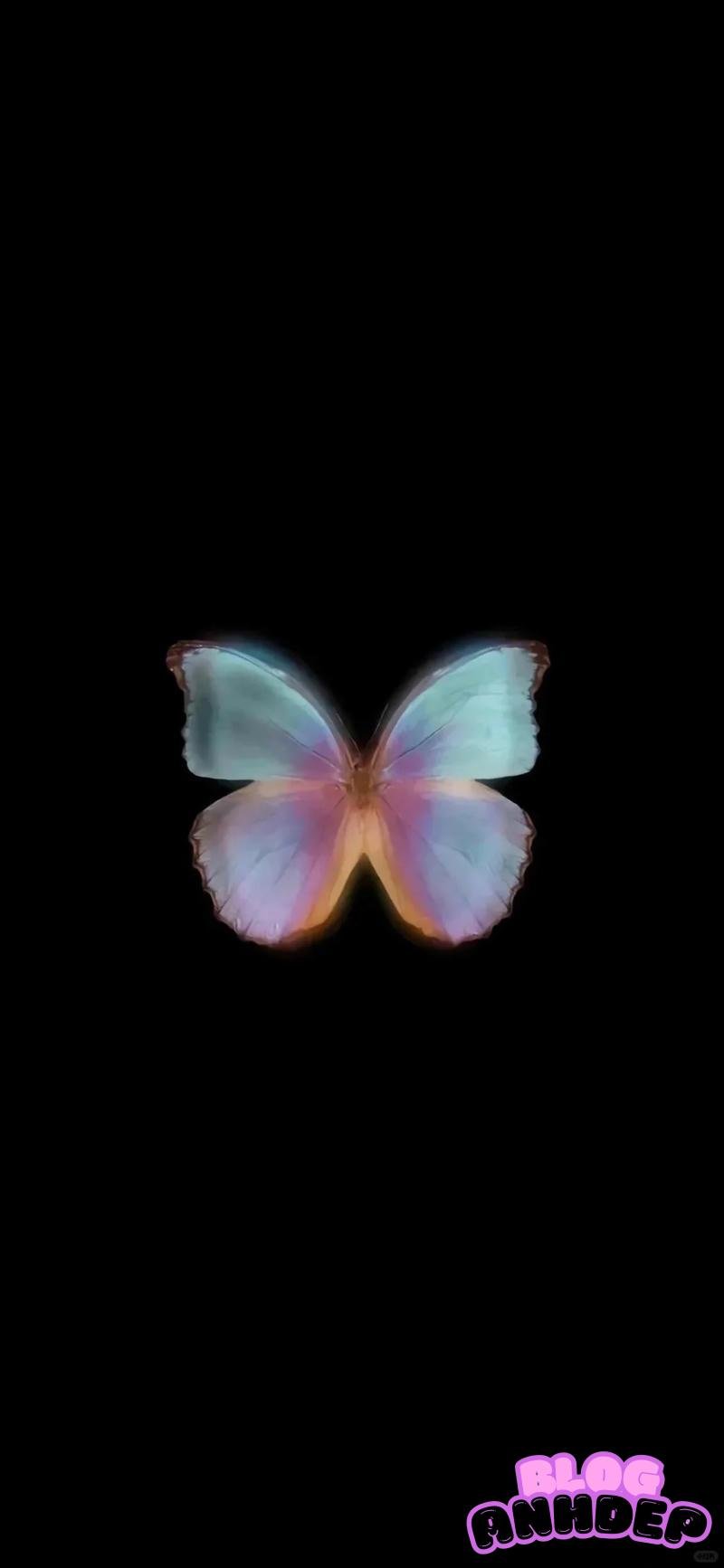 Loạt hình nền bướm chất lượng nhất