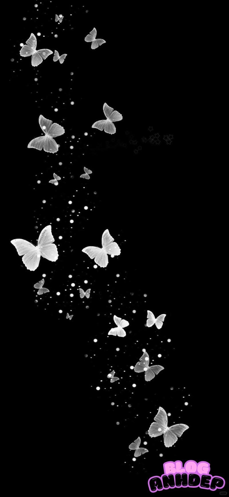 Loạt hình nền bướm cuốn hút