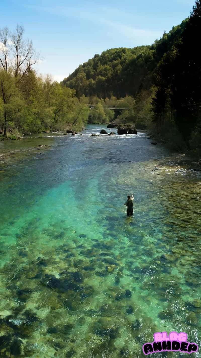 Loạt hình nền câu cá chất lượng