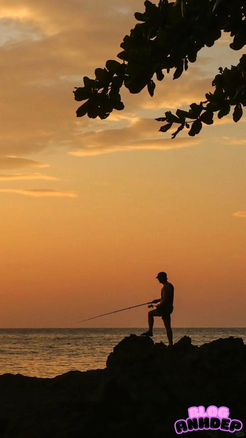 Loạt hình nền câu cá cuốn hút