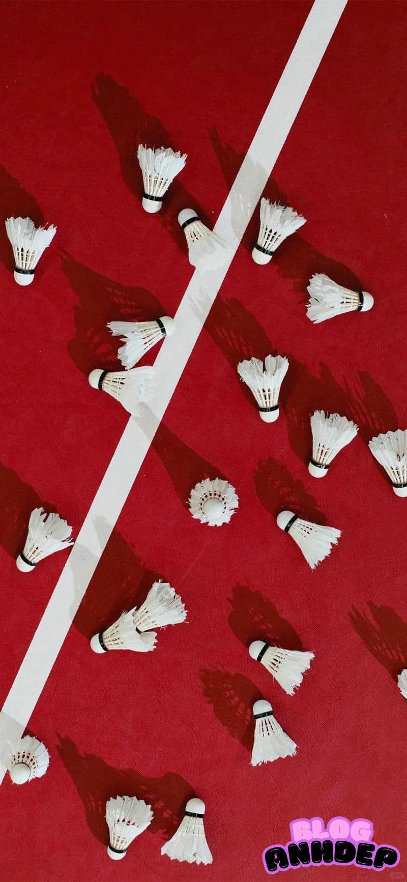 Loạt hình nền cầu lông chất lượng