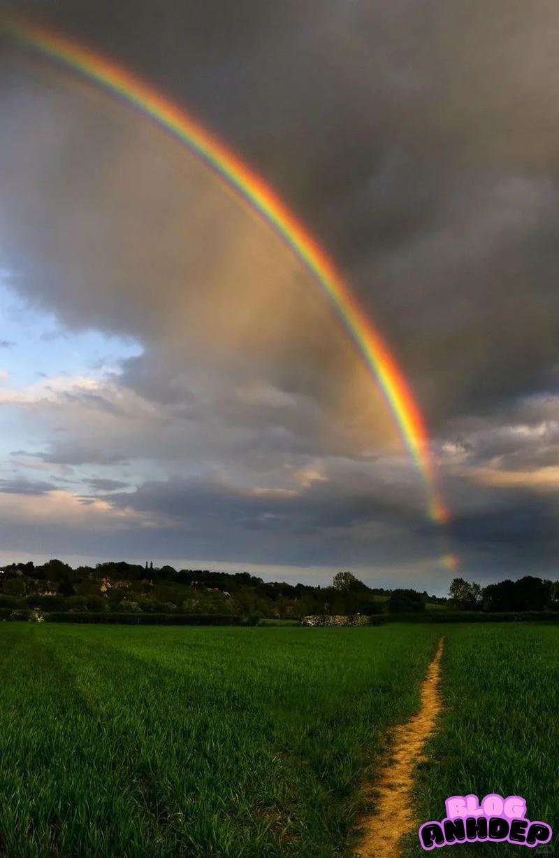 Loạt hình nền cầu vòng chất lượng