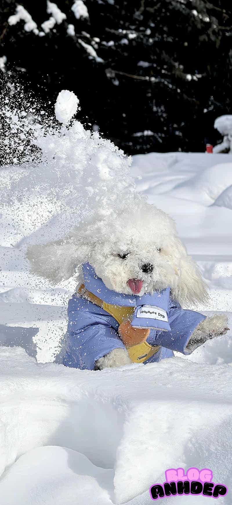 Loạt hình nền con vật cuốn hút