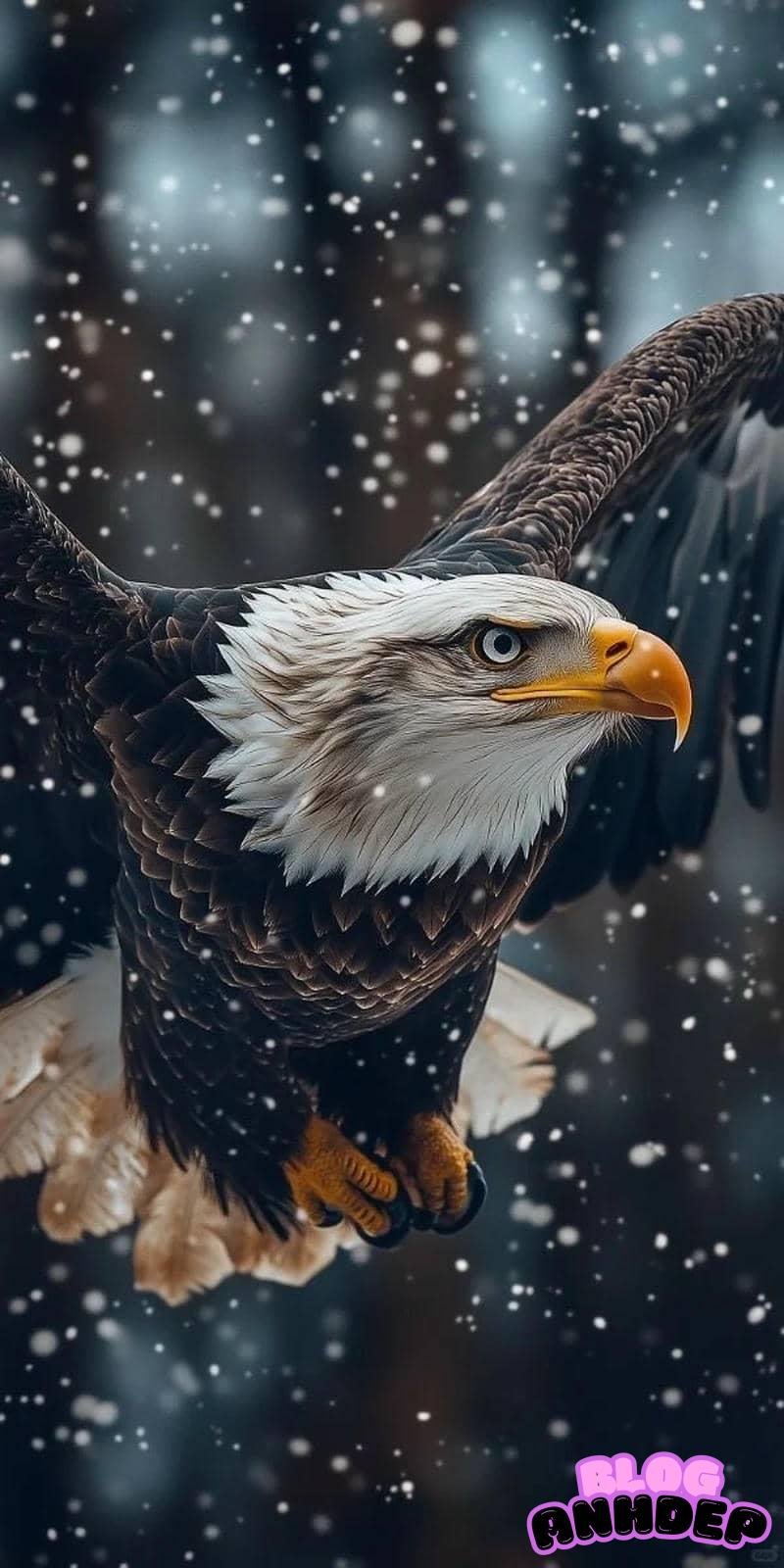 Loạt hình nền đại bàng cuốn hút