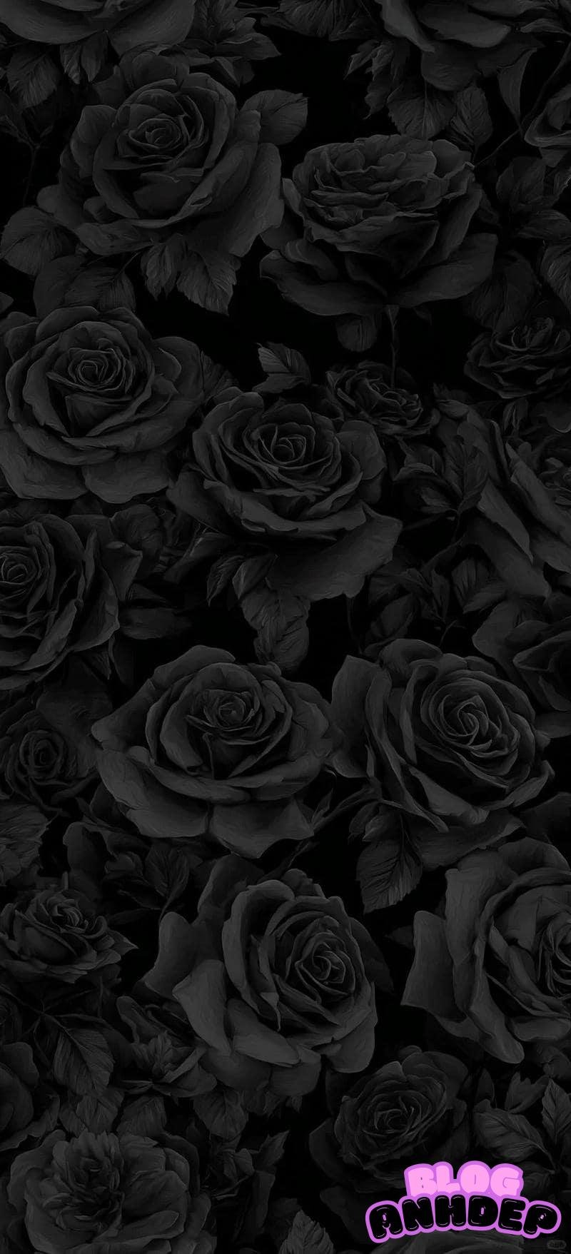 Loạt hình nền đen chất lượng nhất