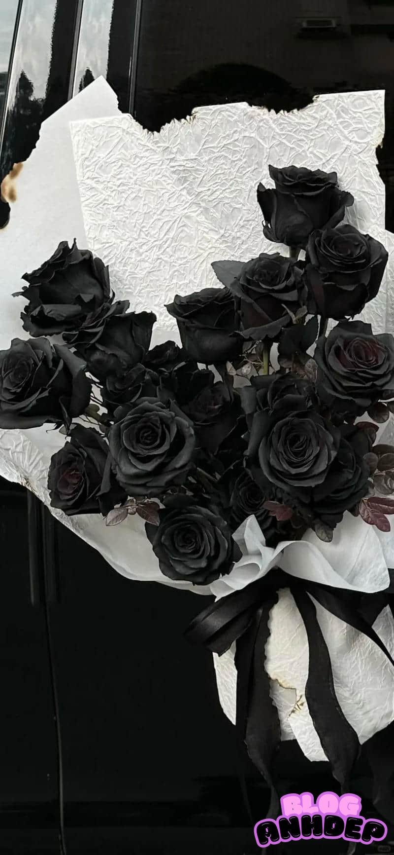 Loạt hình nền đen trắng cuốn hút