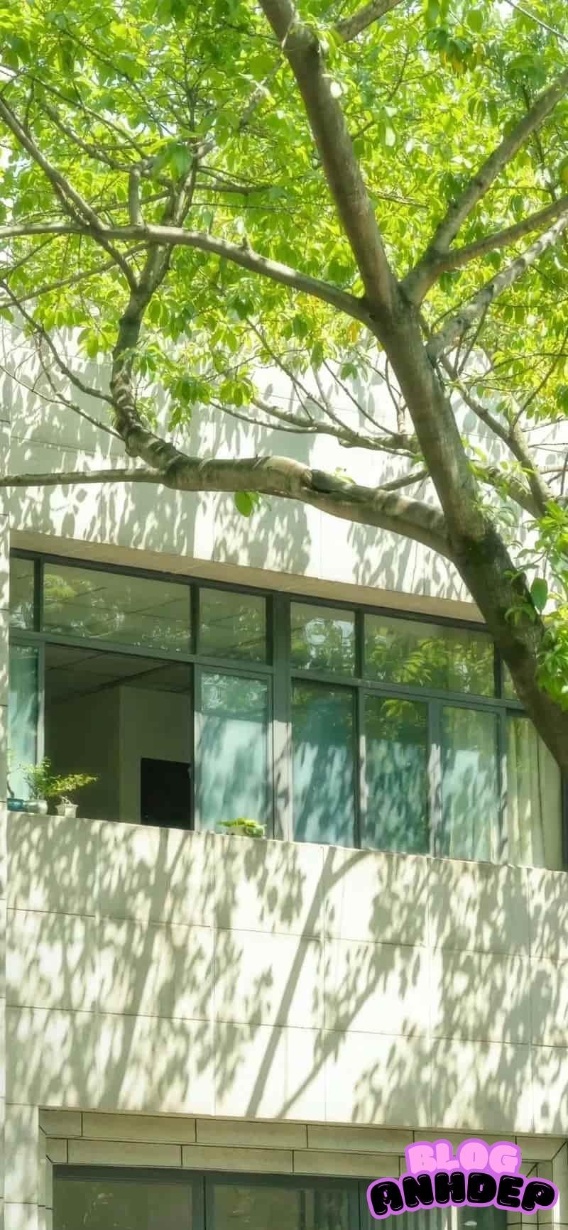 Loạt tuyển hình nền bình yên