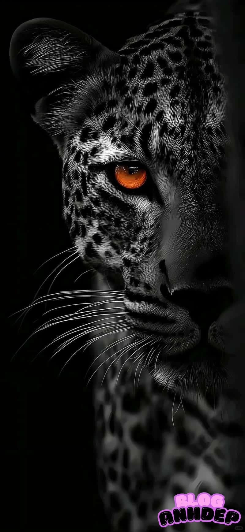 Ngắm ảnh đẹp hình nền amoled lôi cuốn