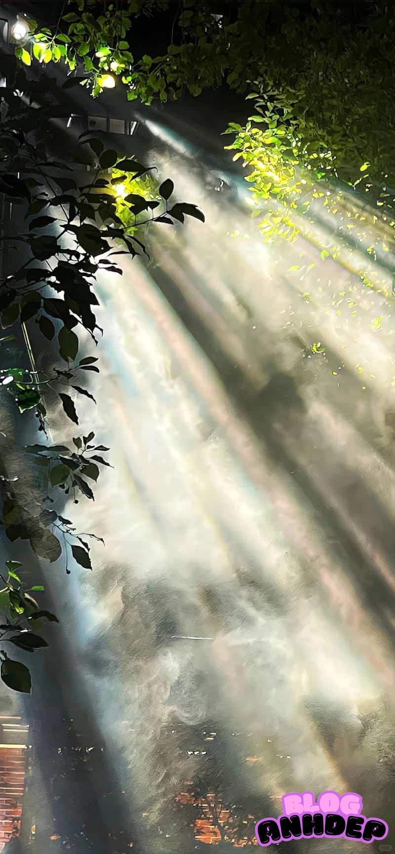 Ngắm ảnh hình nền 2k nghệ thuật