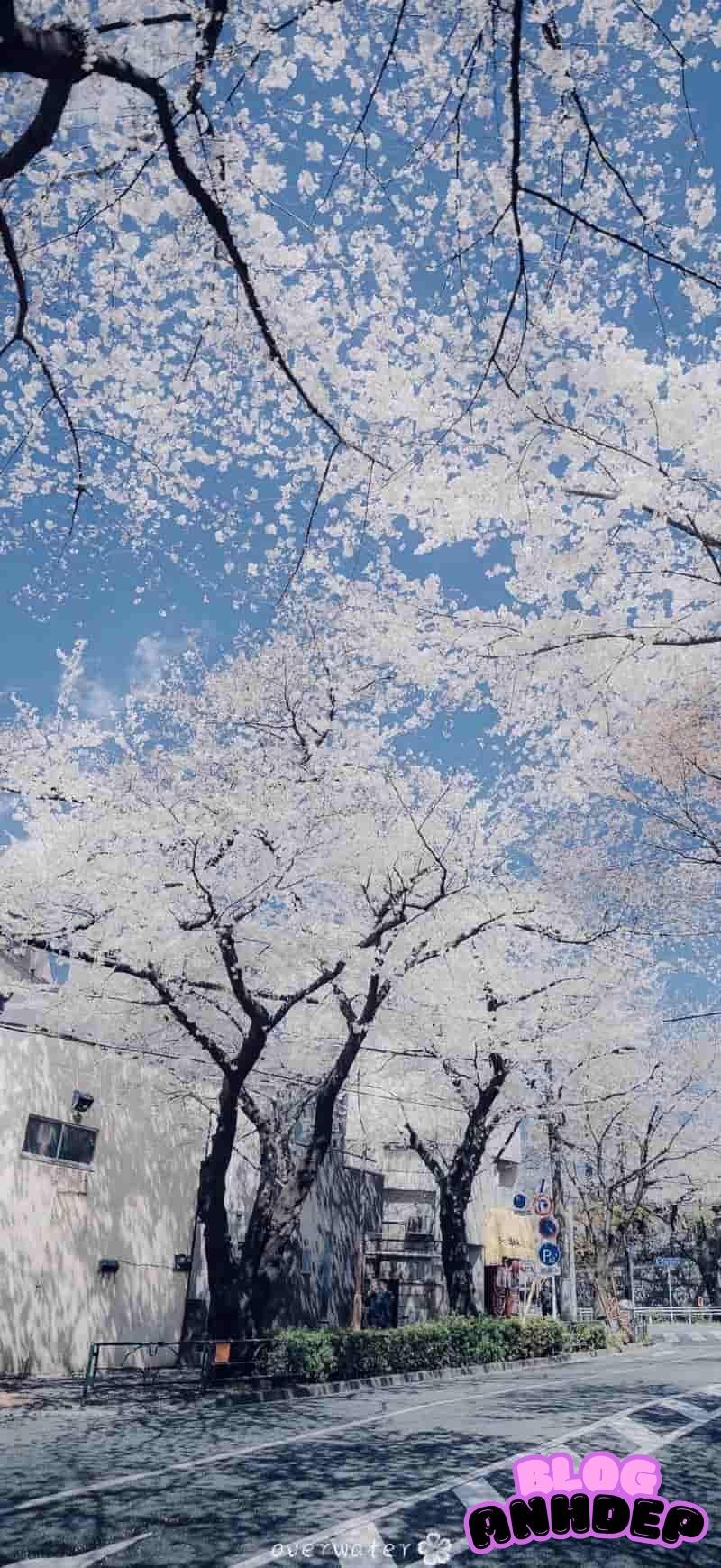 Ngắm ảnh hình nền 5d đẹp