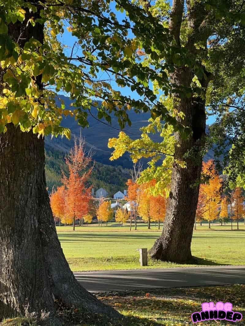 Ngắm ảnh hình nền android độc đáo