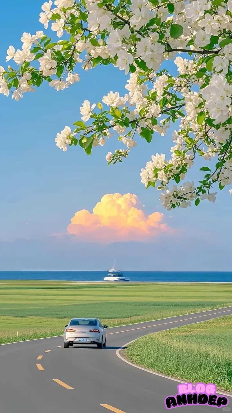 Ngắm ảnh hình nền android mới