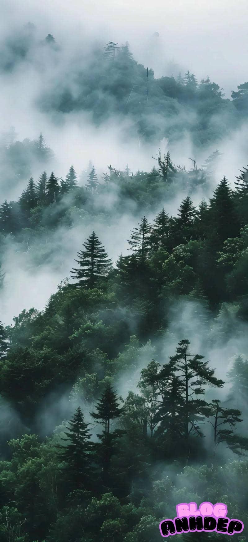 Ngắm ảnh thiết kế hình nền 3d đẹp nhất