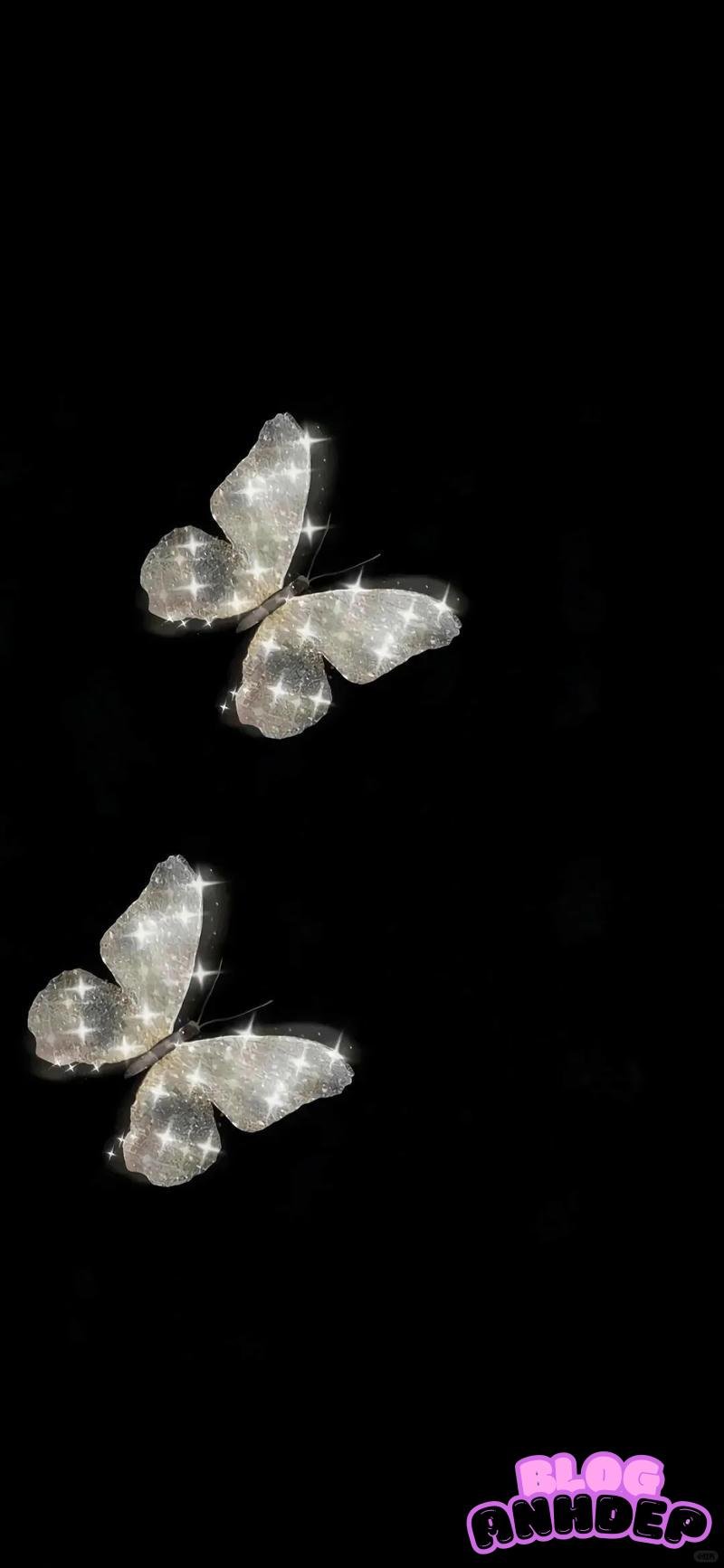 Ngắm bộ hình nền bướm chất lượng cao