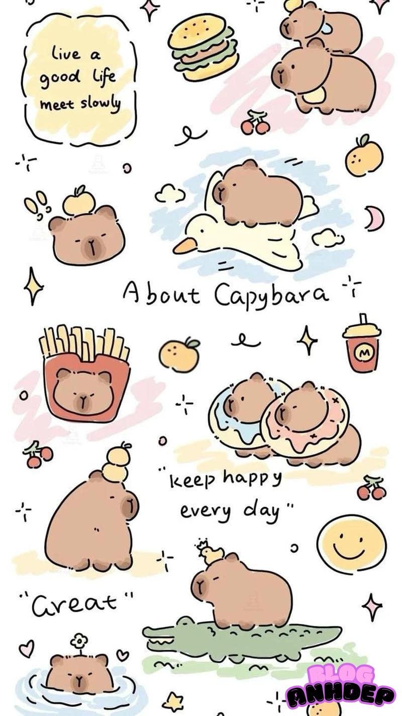 Ngắm bộ hình nền capypara chất lượng cao