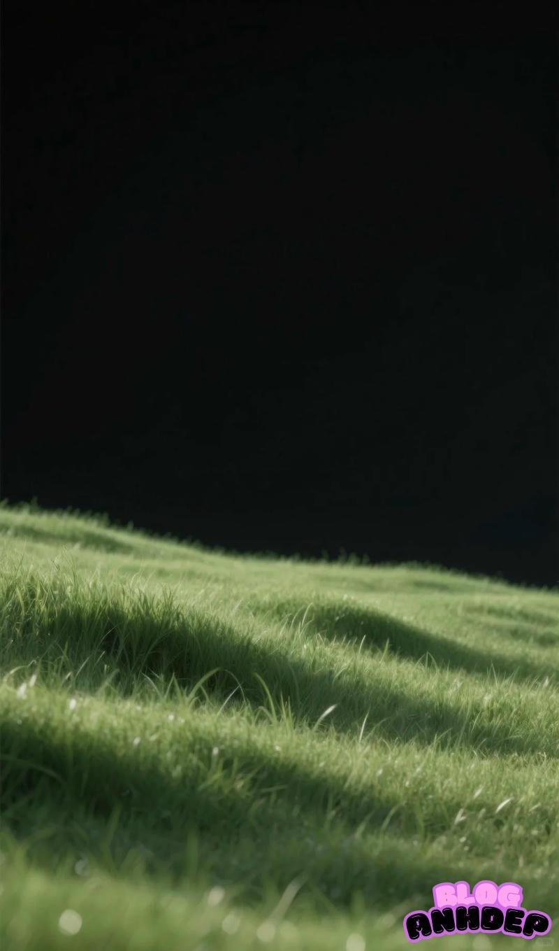 Ngắm bộ hình nền cỏ chất lượng cao