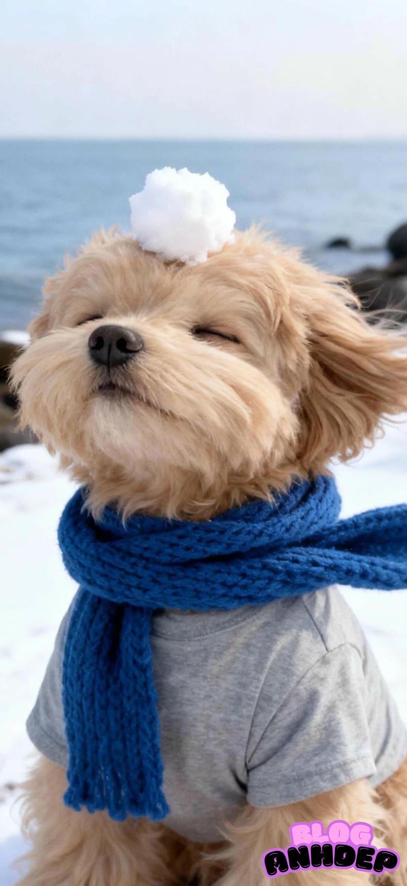 Ngắm bộ hình nền con vật chất lượng cao