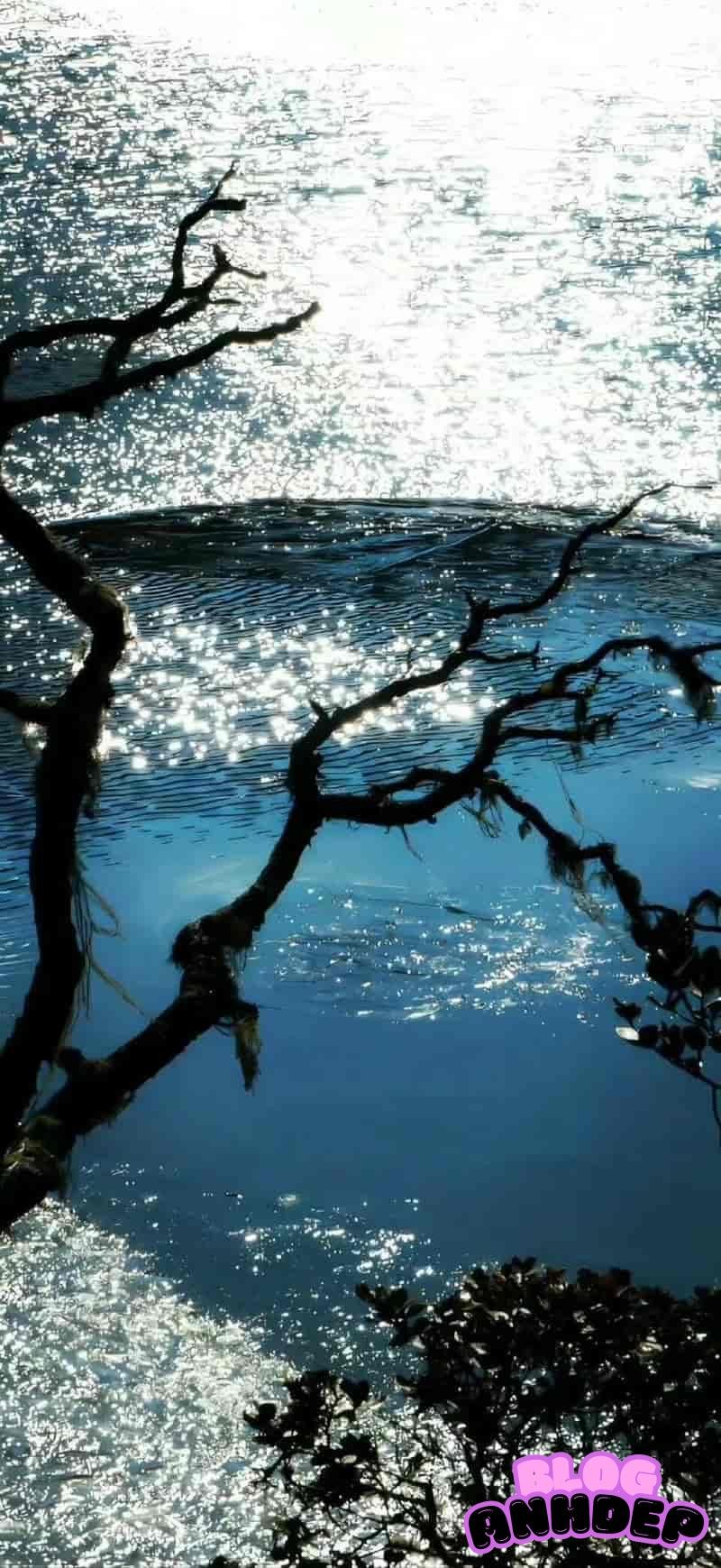 Ngắm chọn hình nền bình yên