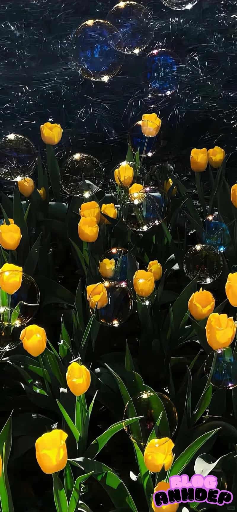 Ngắm chọn hình nền bông hoa