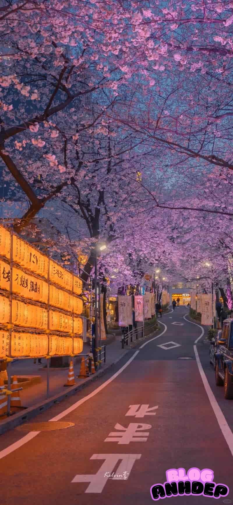 Ngắm hình nền apple sáng tạo