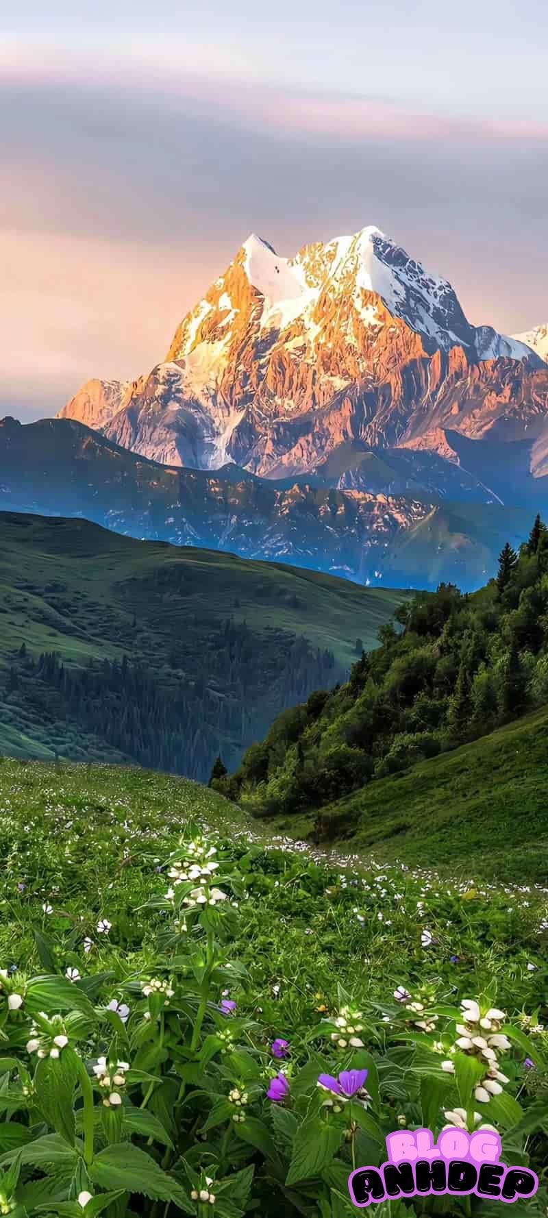 Ngắm hình nền background cuốn hút