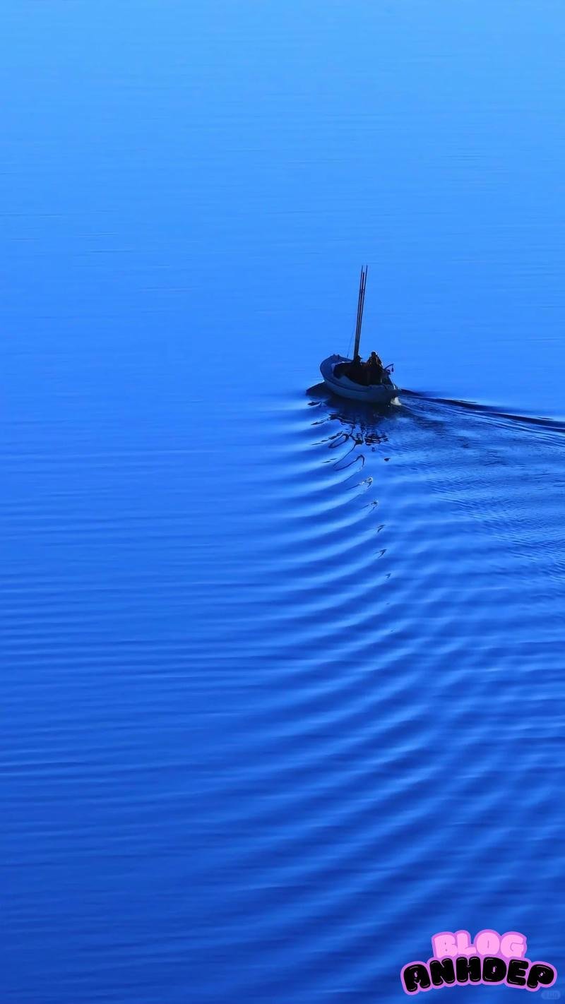 Ngắm hình nền câu cá miễn phí