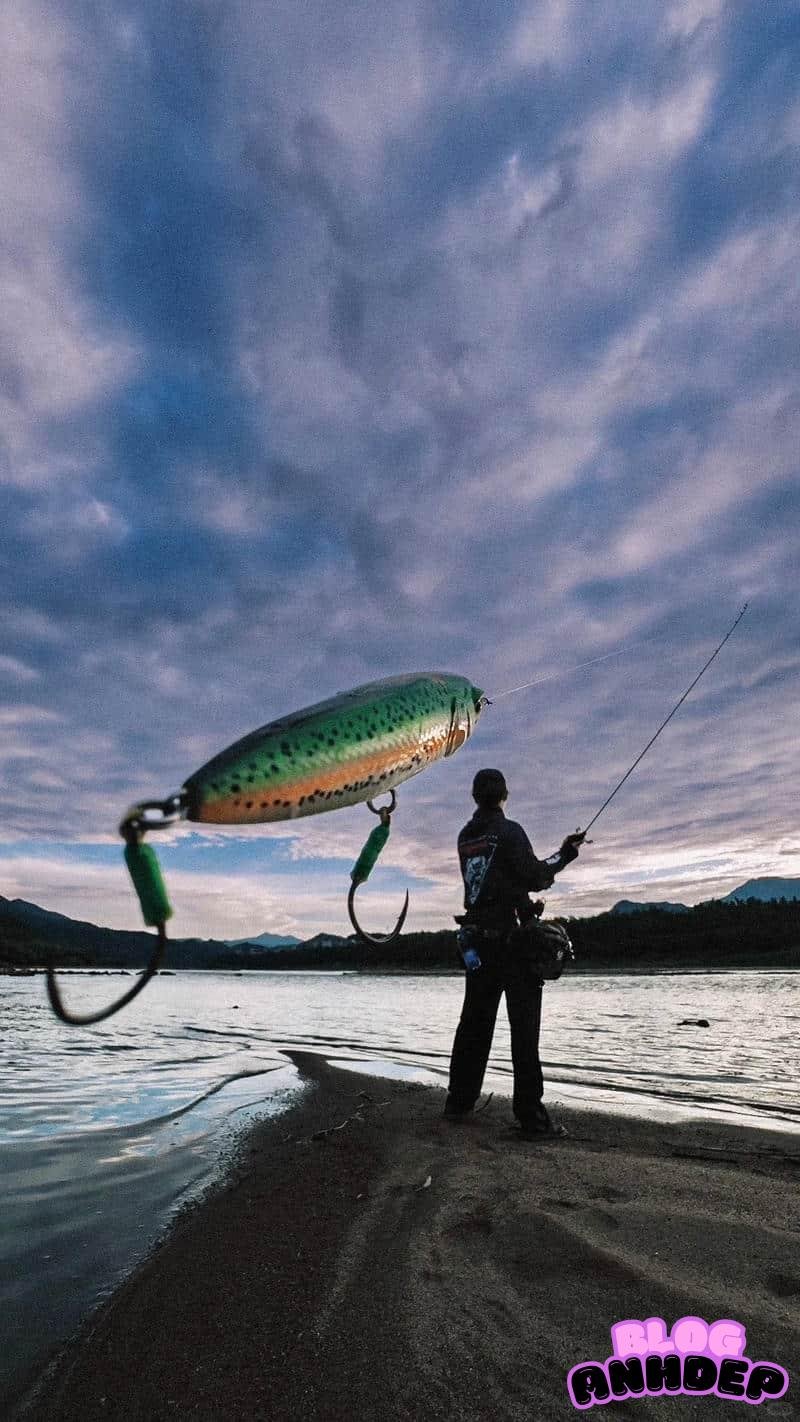 Ngắm hình nền câu cá mới nhất