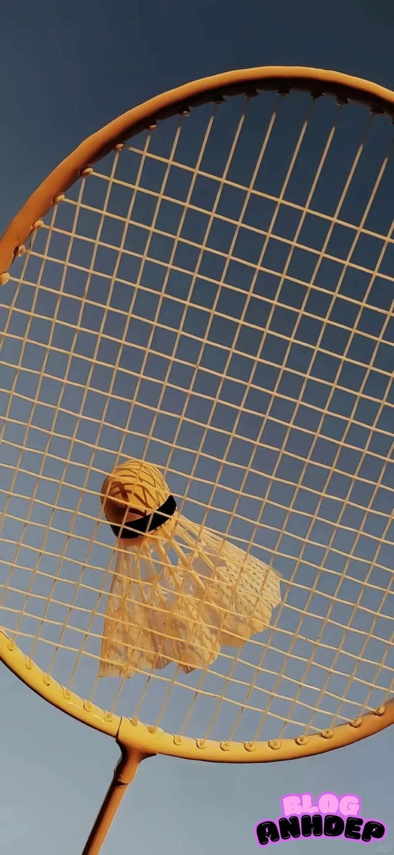 Ngắm hình nền cầu lông thu hút