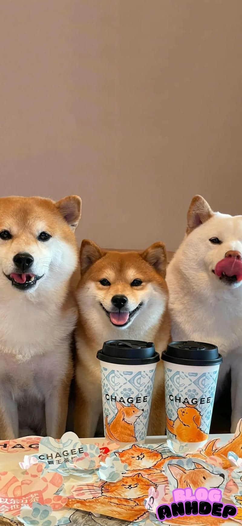 Ngắm hình nền con vật thu hút