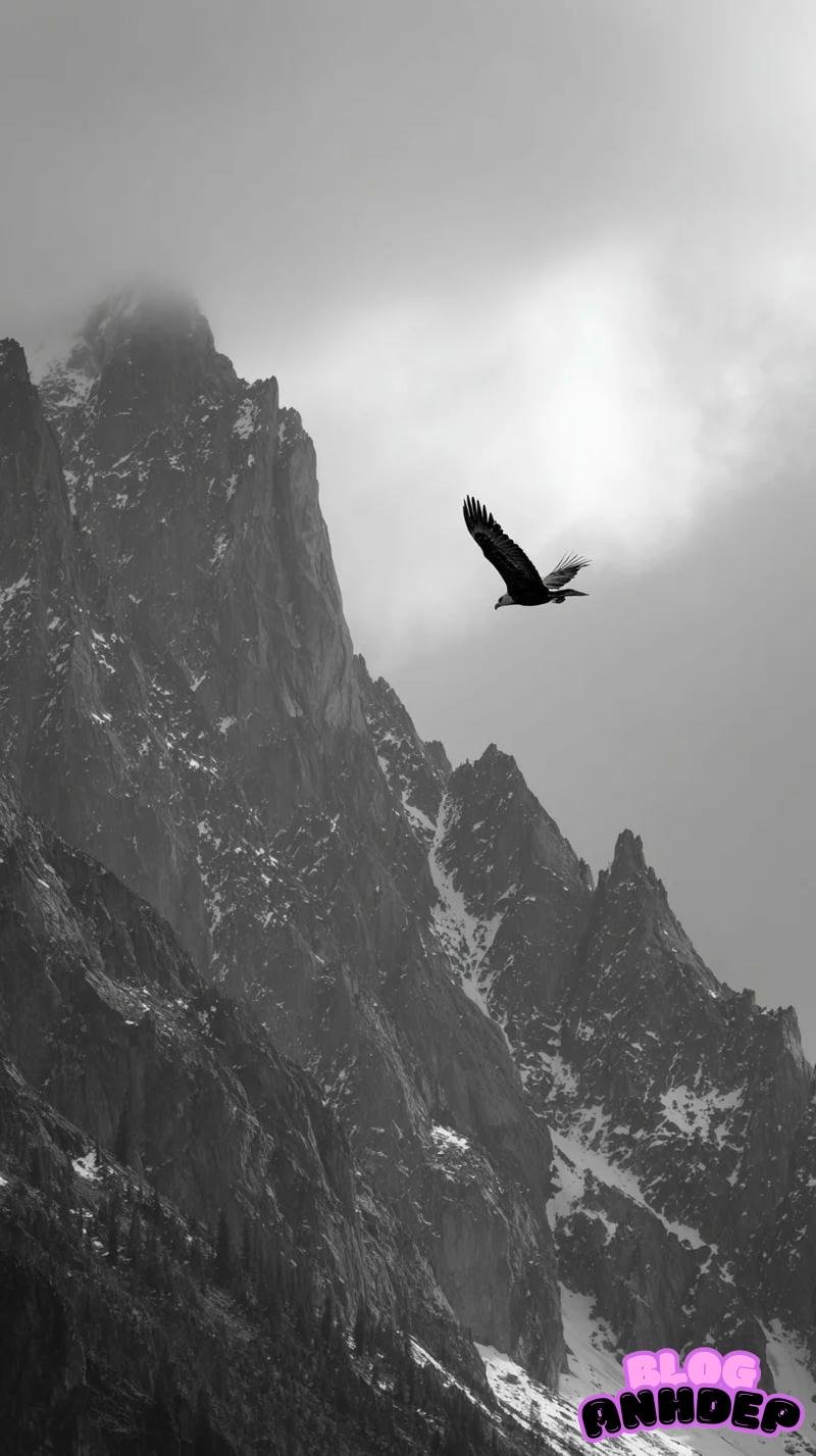 Ngắm hình nền đại bàng mới nhất