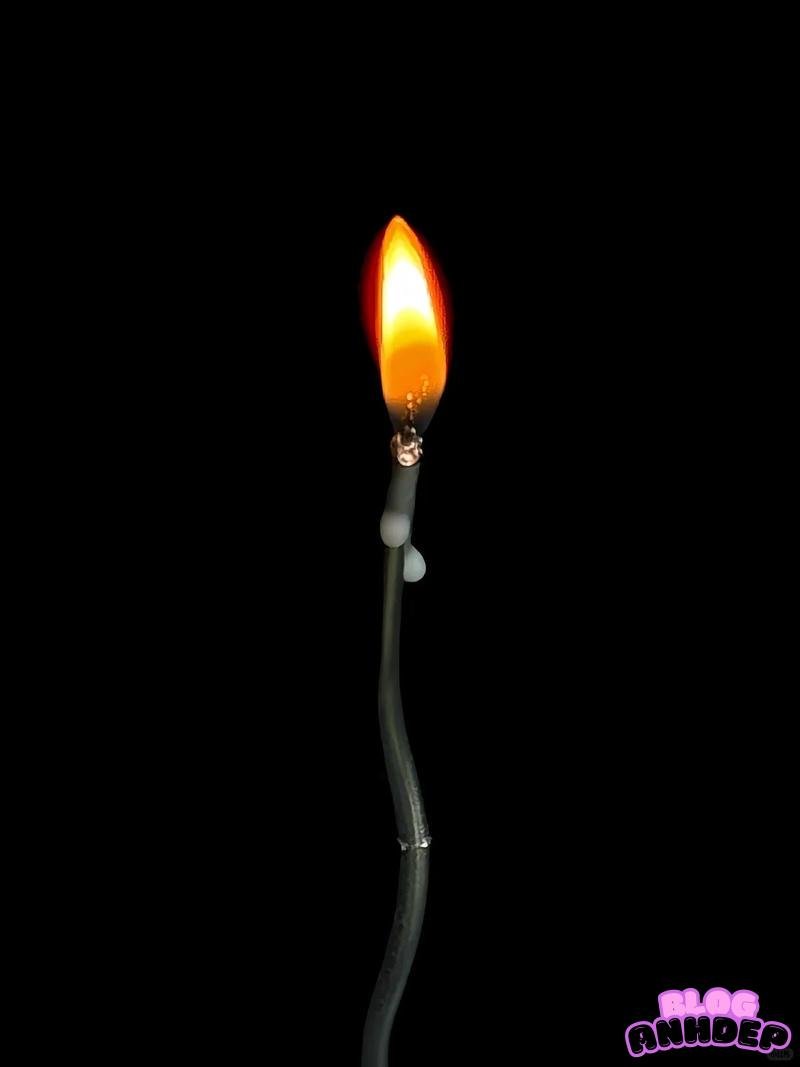 Ngắm hình nền đám tang thu hút