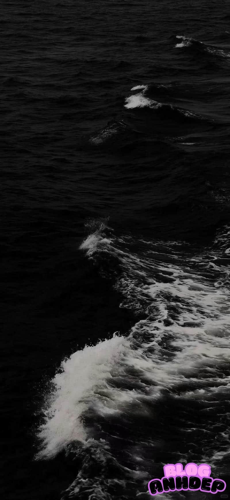 Ngắm hình nền đen trắng miễn phí