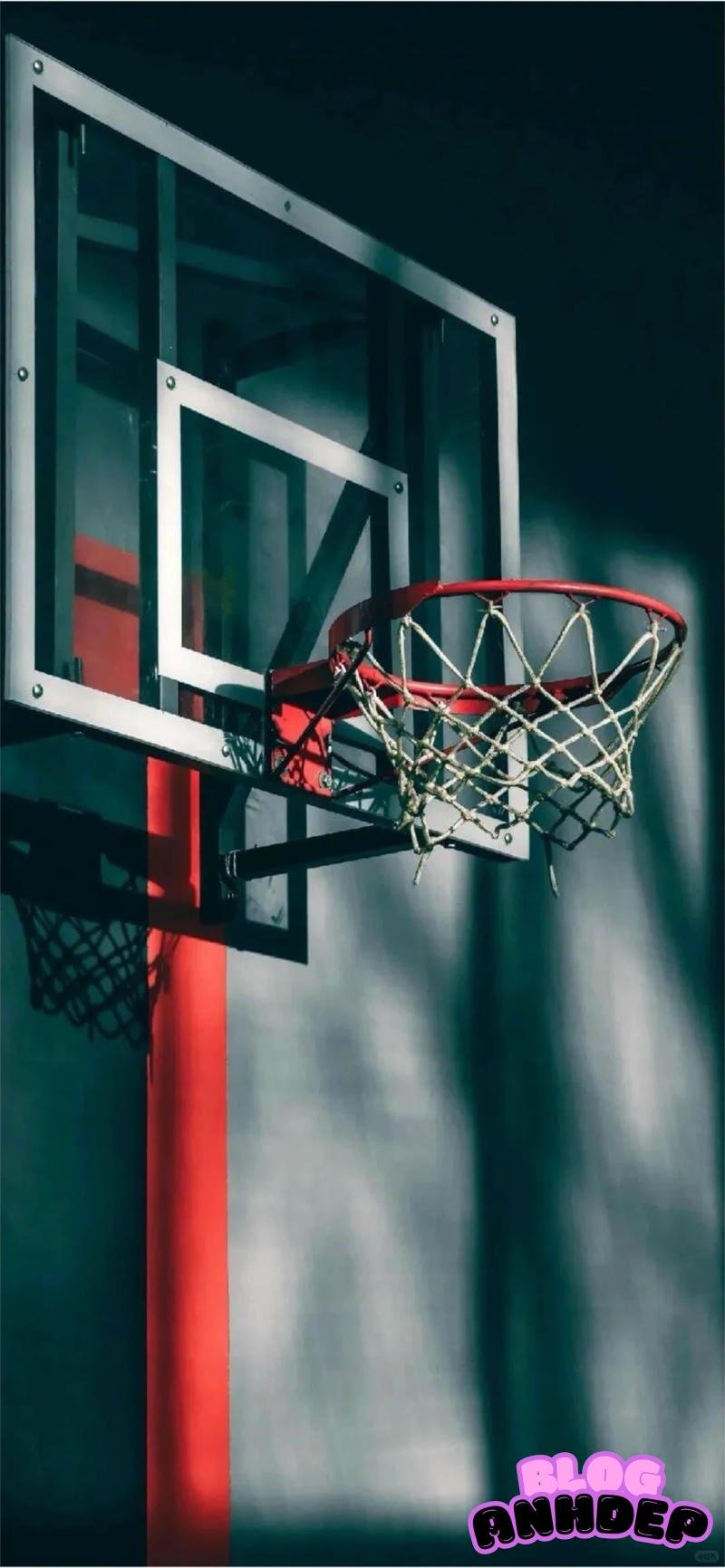 Ngắm nhìn hình nền bóng rổ