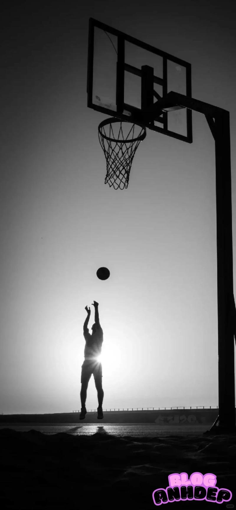 Sưu tầm hình nền bóng rổ