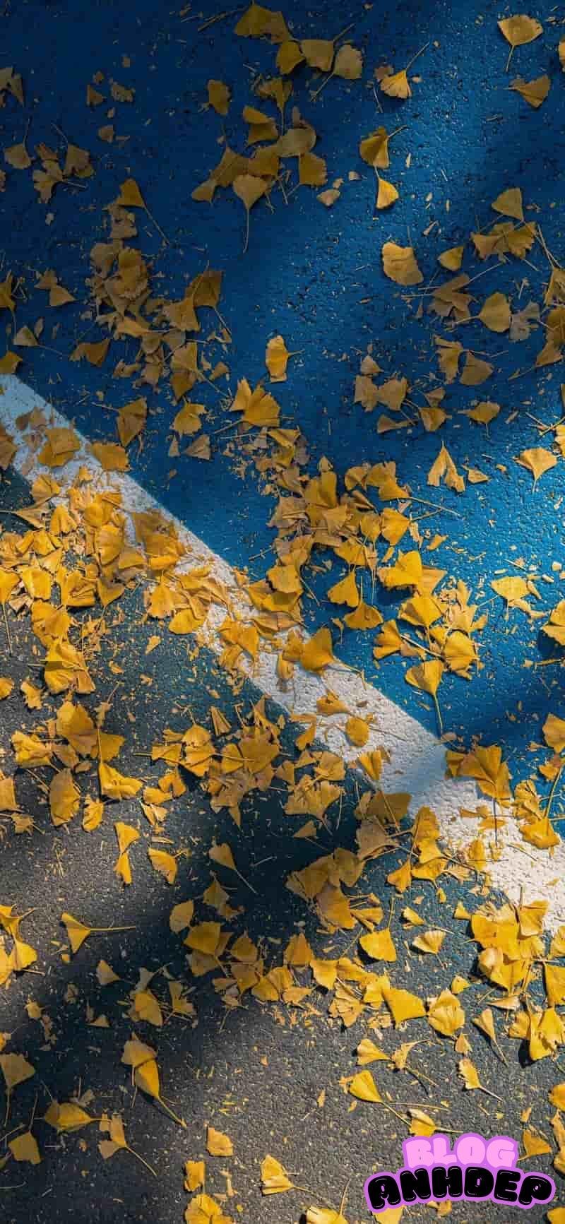 Tải ảnh hình nền 3D 4k tuyệt đẹp